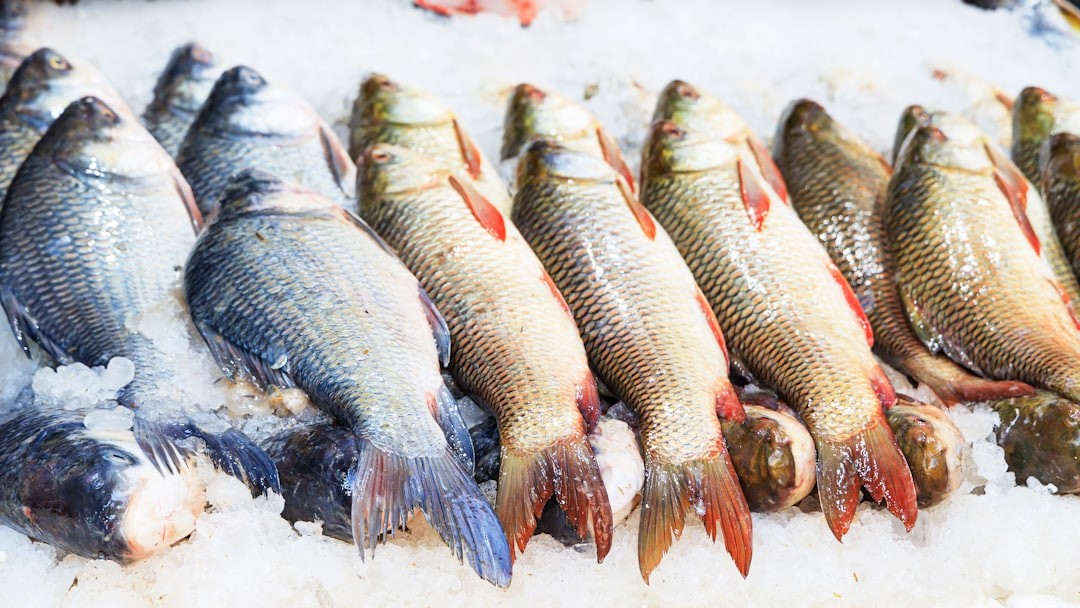 Premium Seafood Background