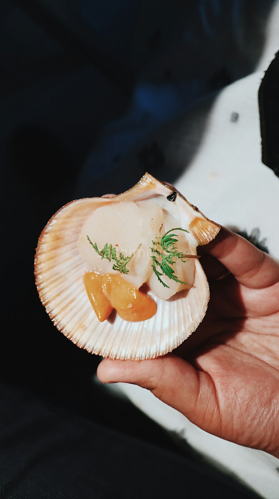 Sashimi Mastery