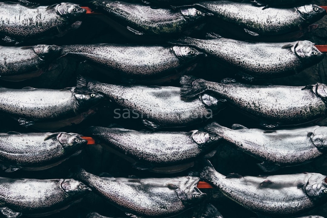 Reel 2