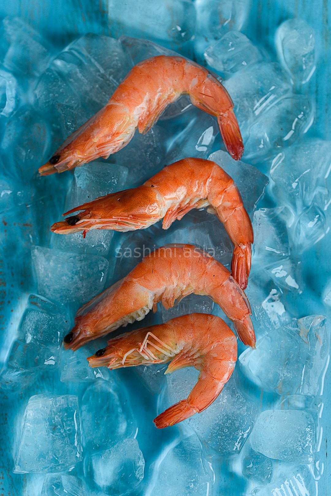 Premium Seafood